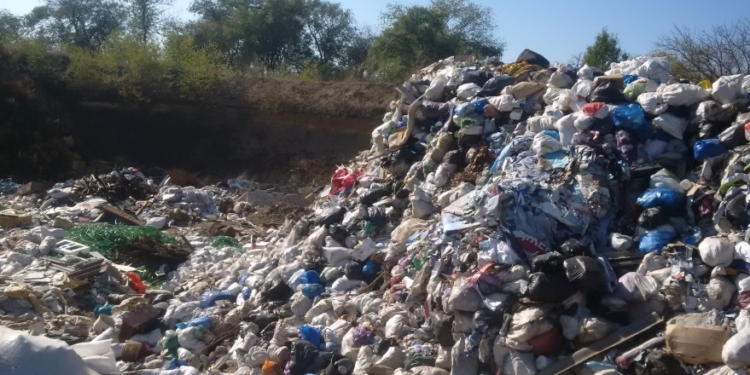 Предприниматель, устроивший несанкционированную свалку в Коларово, по решению суда должен будет заплатить 155 тыс.грн.