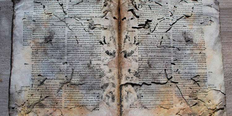 Негативные последствия карантина: британские музеи атакуют насекомые