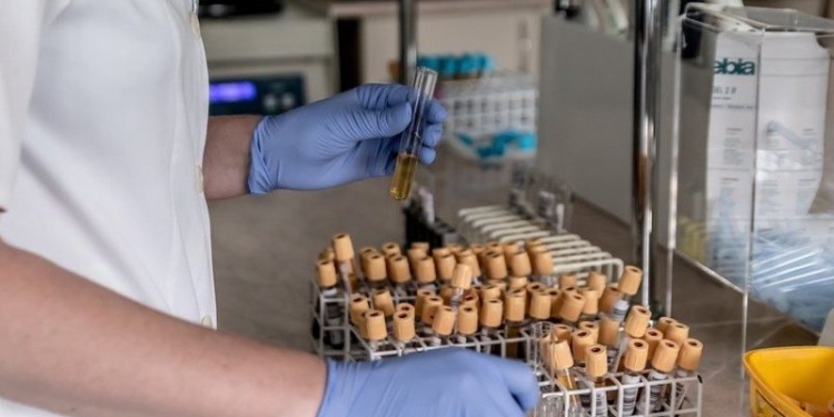 В Китае выявили больного бубонной чумой