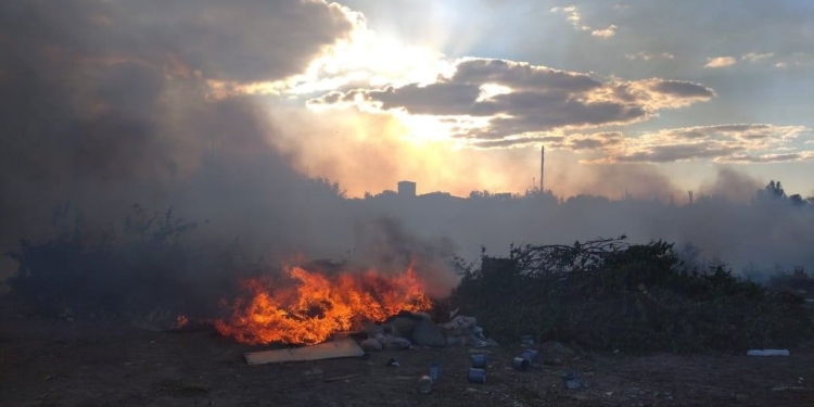 В Николаеве и области 5 раз тушили пожары на открытых территориях (ФОТО)