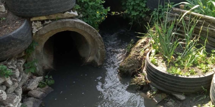 Ущерб от аварийного сброса обратных вод в Южный Буг «Первомайскводоканалом» исчисляется почти 1,5 млн.грн. – ГЭИ