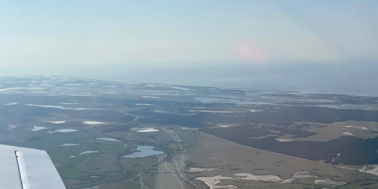 В связи с чрезвычайной пожароопасностью за лесами Николаевщины следят с высоты (ФОТО)
