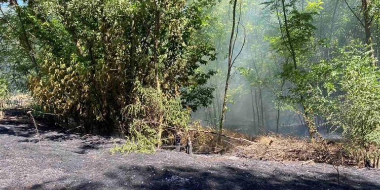 За прошедшие сутки спасатели Николаевщины 8 раз привлекались к тушению сухостоя