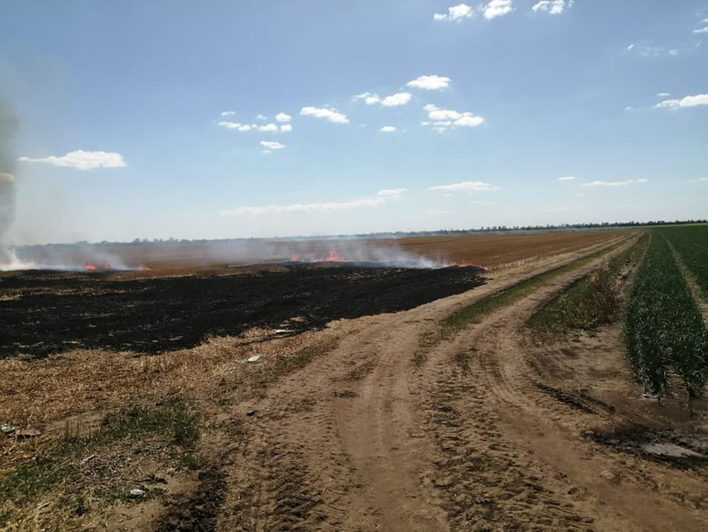 В Витовском районе спасатели тушили 4 пожара на открытых территориях (ФОТО) 1