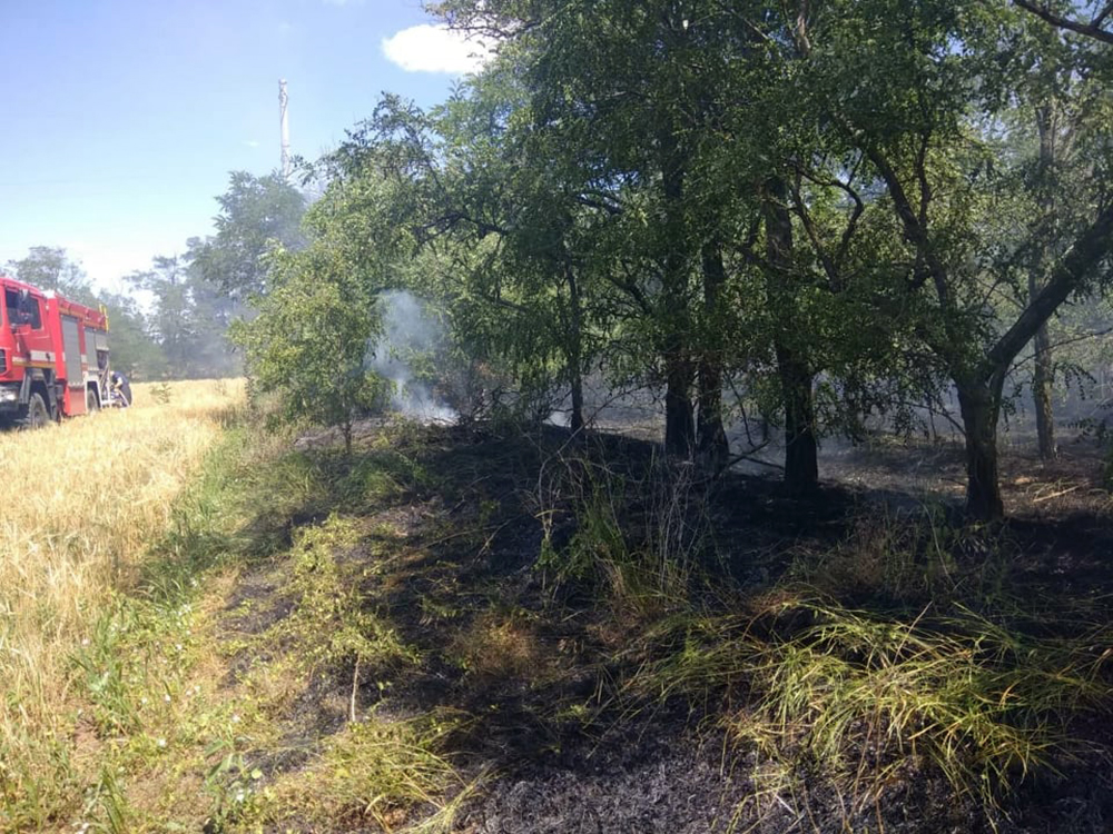 В Витовском районе спасатели тушили 4 пожара на открытых территориях (ФОТО) 5