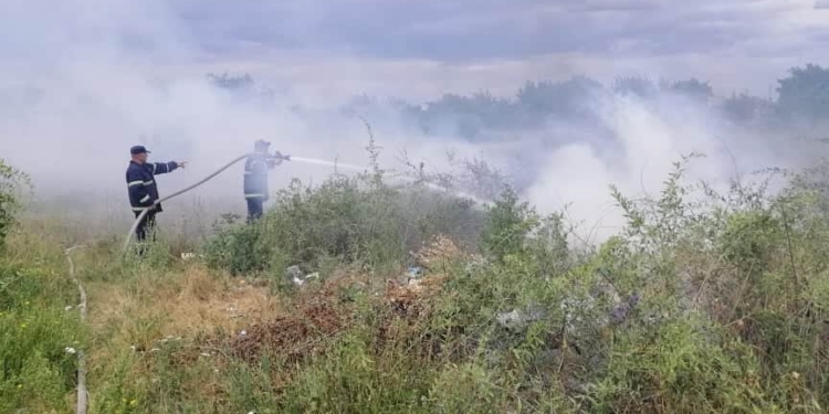 За сутки пожарные Николаевщины потушили 12 пожаров на открытых территориях (ФОТО)