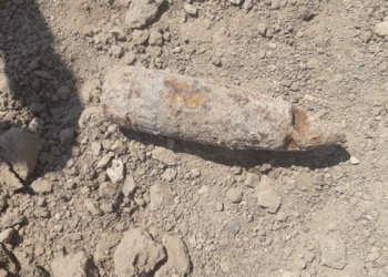 В Николаевской области у обочины дороги нашли 50-мм снаряд