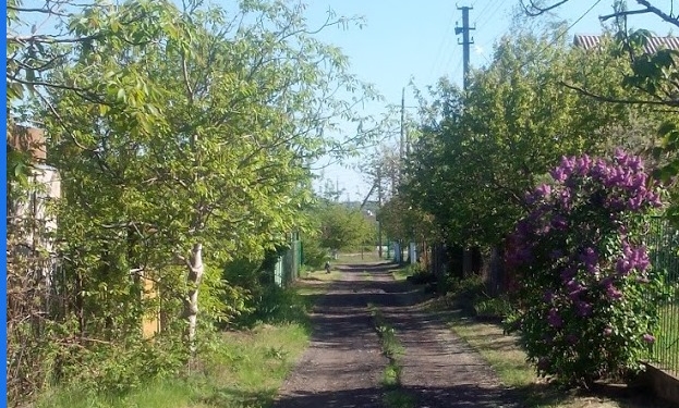 На Николаевщине троих подростков обвинили в “терроризме”: избивают и грабят людей