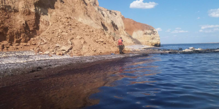 В Рыбаковке местные жители нашли в воде мертвую женщину (ФОТО)