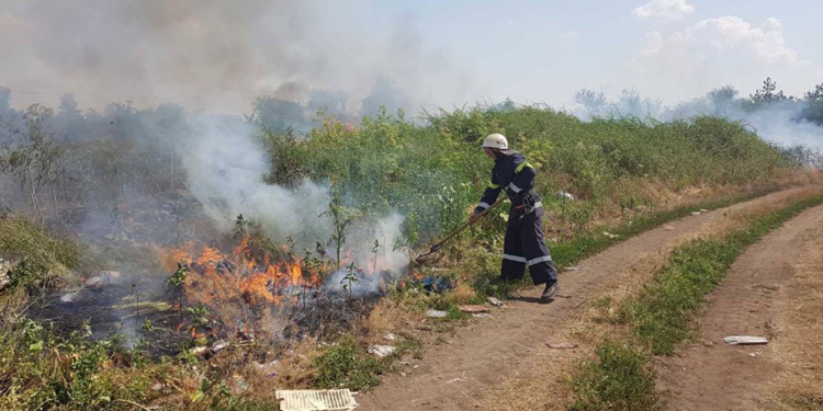 За сутки на Николаевщине четырежды горела сухая трава (ФОТО)