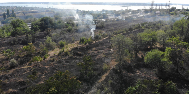 За сутки пожарные Николаевщины ликвидировали 14 пожаров сухостоя и стерни (ФОТО)