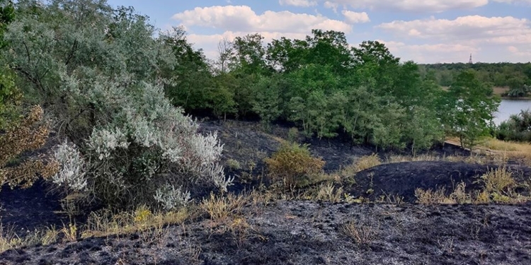 Из-за любителей пикников на Николаевщине в урочище «Водяном» выгорело 0,9 га травяной подстилки (ФОТО)