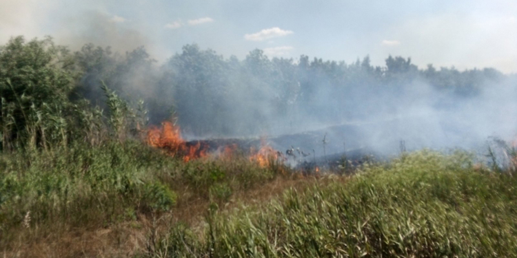 За сутки спасатели Николаевщины 15 раз выезжали тушить пожары в экосистемах (ФОТО)