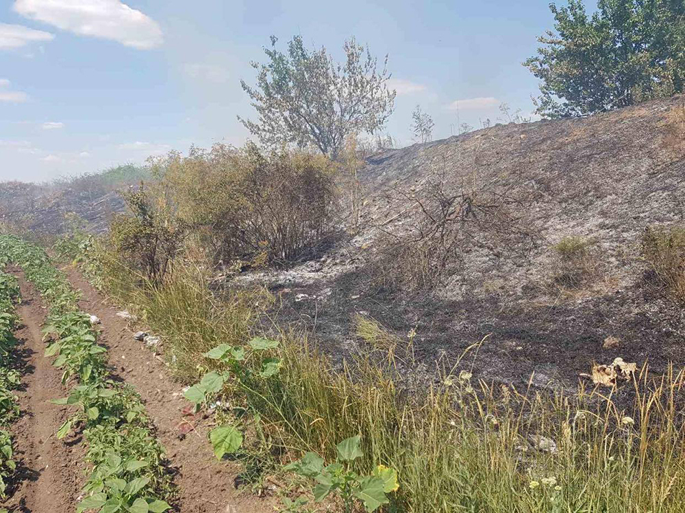 За сутки на Николаевщине четырежды горела сухая трава (ФОТО) 5