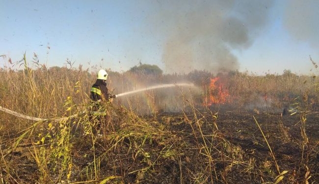 Синоптики предупредили о чрезвычайном уровне пожарной опасности на Николаевщине