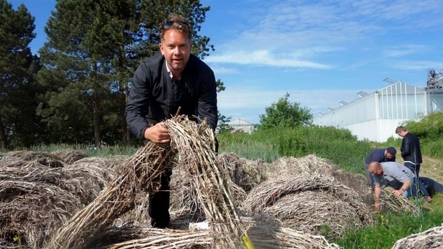 Почти «збудуй хату з лободи»: в Дании построили дом из ботвы томатов (ВИДЕО, ФОТО)