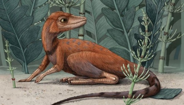 На Мадагаскаре нашли останки крошечного предка динозавров 1