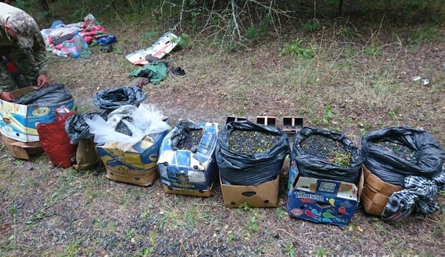 Из Зоны отчуждения пытались вывезти 300 кг радиоактивных ягод (ФОТО)