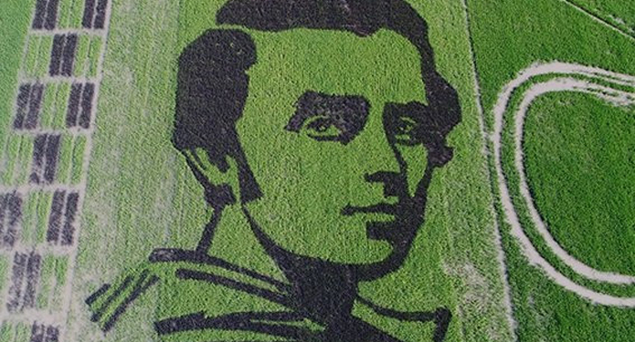 На Херсонщине вырастили на рисовом поле портрет Шевченко (ВИДЕО)