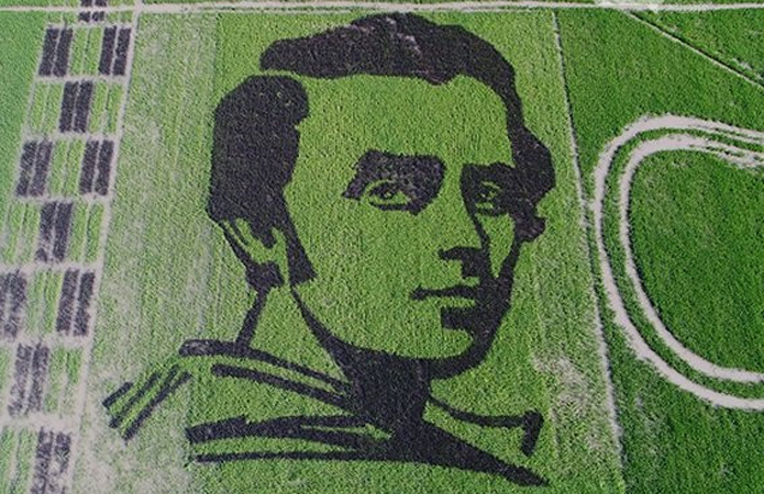 На Херсонщине вырастили на рисовом поле портрет Шевченко (ВИДЕО) 1