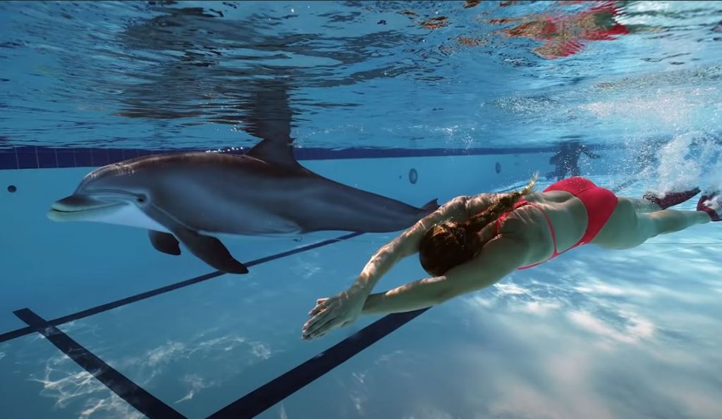 Очень похож на живого! Инженеры показали робота-дельфина - таких хотят продавать океанариумам (ВИДЕО) 1