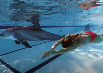 Очень похож на живого! Инженеры показали робота-дельфина – таких хотят продавать океанариумам (ВИДЕО)