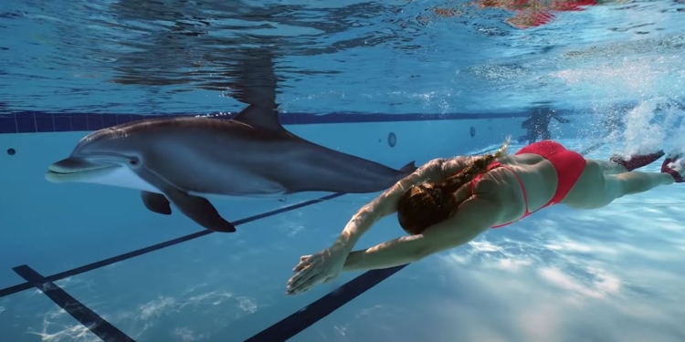 Очень похож на живого! Инженеры показали робота-дельфина – таких хотят продавать океанариумам (ВИДЕО)