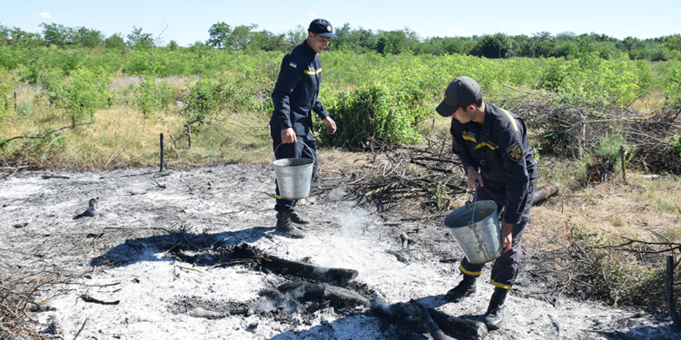 В Новоодесском районе вычислили поджигателя – развел 50 костров (ФОТО, ВИДЕО)