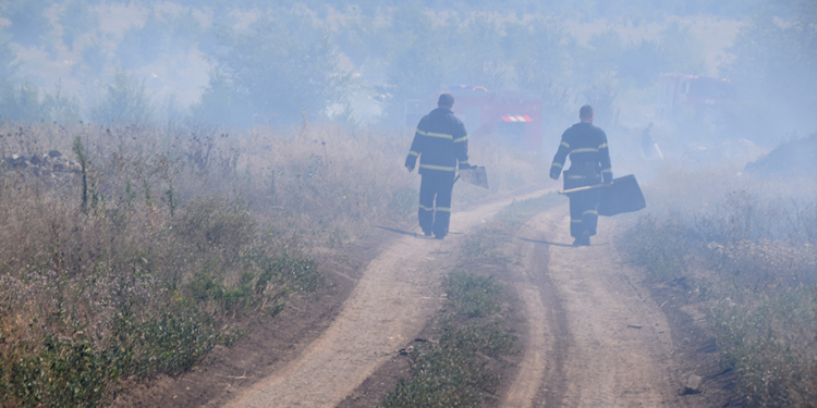А совесть есть? За ночь в области выгорело 9 га сухой травы. Причина – пофигизм (ФОТО)