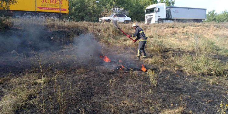 Неосторожное обращение с огнем и поджоги: за сутки спасатели Николаевщины потушили 21 пожар на открытых территориях
