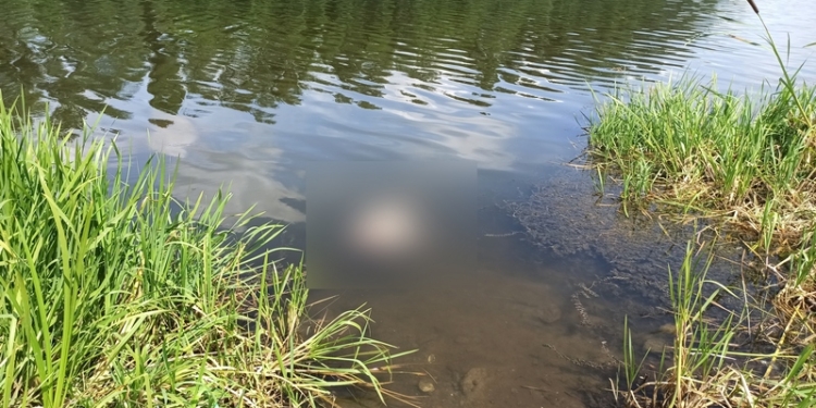 В Южном Буге обнаружен труп мужчины (ФОТО)