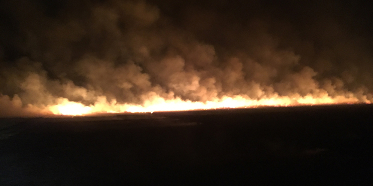 Спасатели Николаевщины за сутки девять раз тушили пожары сухостоя (ФОТО)