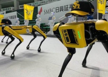 Роботы станцевали на стадионе в Японии – получилось жутко (ВИДЕО)