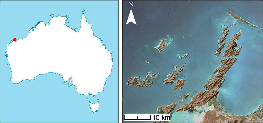 Археологи нашли руины поселений аборигенов глубоко под водой в Австралии (ФОТО, ВИДЕО) 3