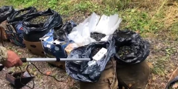 В Чернобыльской зоне нарушители собирали для продажи ягоды с повышенным радиационным фоном