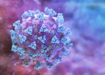 За прошлые сутки в мире от коронавируса умерли еще 3731 человек