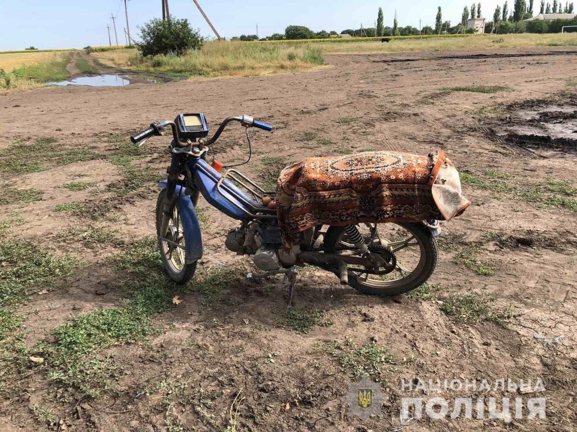 На Николаевщине мужчина украл 6 щенков и мопед, теперь ему грозит 8 лет тюрьмы (ФОТО) 3