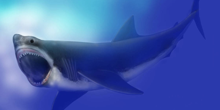 Кто мечтал сфотографироваться в пасти гигантской доисторической акулы? Вам в Николаевский зоопарк (ФОТО)