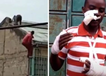 Мужчина полез на крышу прогнать гамадрила, тот сбросил его на землю (ВИДЕО)