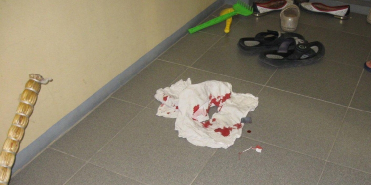 В Первомайске мужчина, вооружившись молотком и ножом, напал на бывшую жену и тещу (ФОТО)