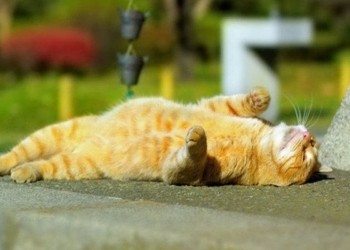 На выходных на Николаевщине будет жарко и сухо. А с понедельника еще больше начнет припекать