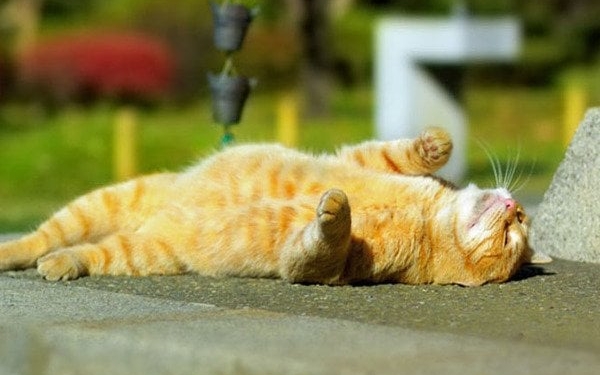 На выходных на Николаевщине будет жарко и сухо. А с понедельника еще больше начнет припекать