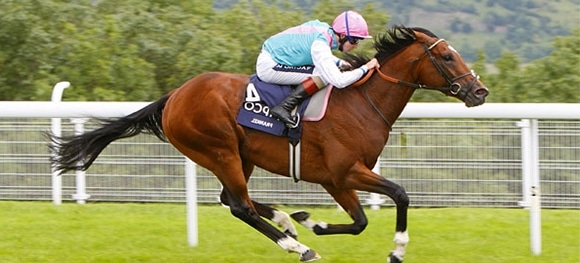 Передумал: молодой жеребец уверенно лидировал на скачках, но перед  финишем ушел домой