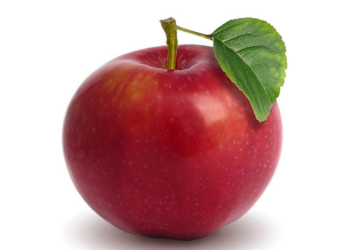 Украл только яблоко: медвежонок залез в машину туристов (ВИДЕО)