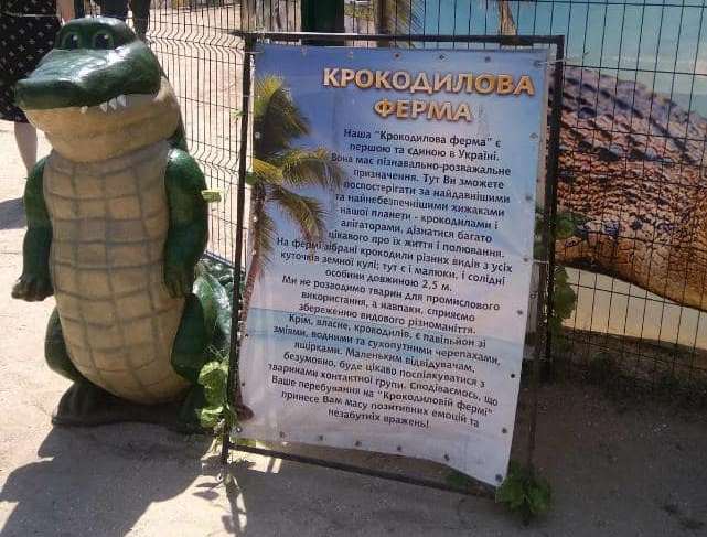 На Херсонщине крокодиловая ферма оказалась передвижной выставкой (ФОТО) 7