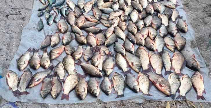 Неподалеку от Николаева полиция и госэкоинспекторы поймали браконьера со 120 карасями (ФОТО)