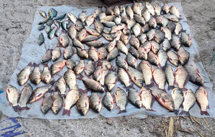 Неподалеку от Николаева полиция и госэкоинспекторы поймали браконьера со 120 карасями (ФОТО) 5