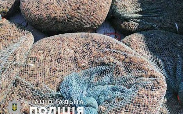 В заповеднике на Николаевщине полиция и экологическая инспекция поймали браконьеров на незаконном массовом отлове креветки (ФОТО)