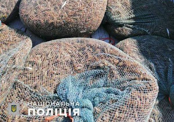 В заповеднике на Николаевщине полиция и экологическая инспекция поймали браконьеров на незаконном массовом отлове креветки (ФОТО) 7