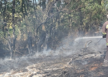 За прошедшие сутки на Николаевщине потушили 5 пожаров сухостоя и пожнивных остатков (ФОТО)